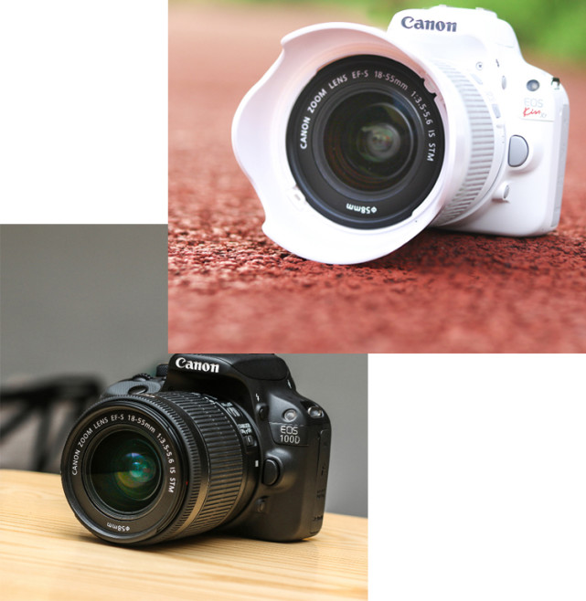 新手入门相机该如何选择