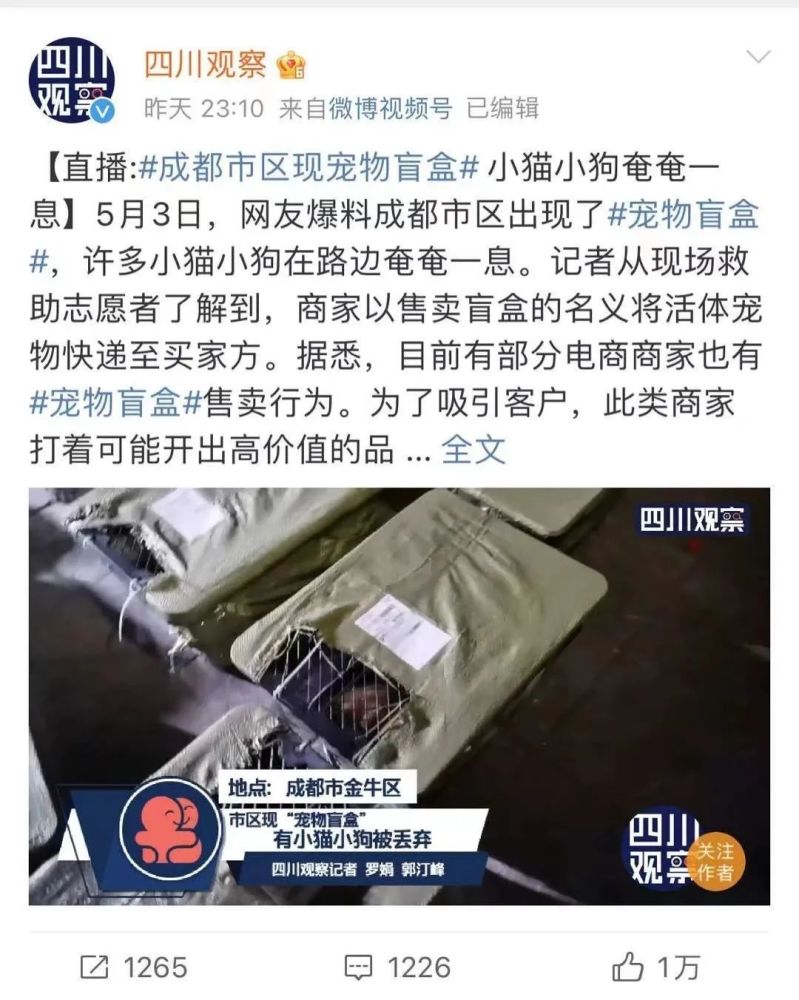 雨夜紧急拦截宠物盲盒上百猫狗奄奄一息中通致歉