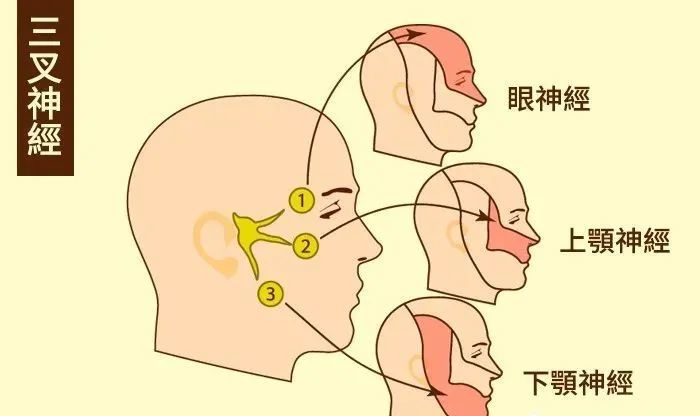 面痛三叉神经痛的12种中医外治法