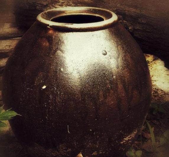 我接回瘫痪老娘,临终她分我一壶破尿罐,给哥哥五千,我感动落泪