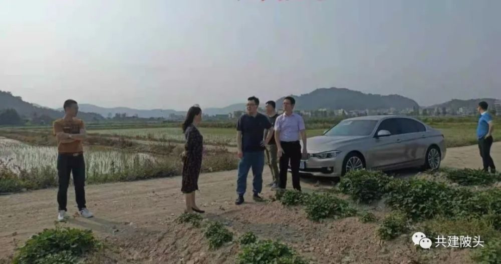 西胪镇各村人口_西胪镇农办主任及某村村委工作人员一起……