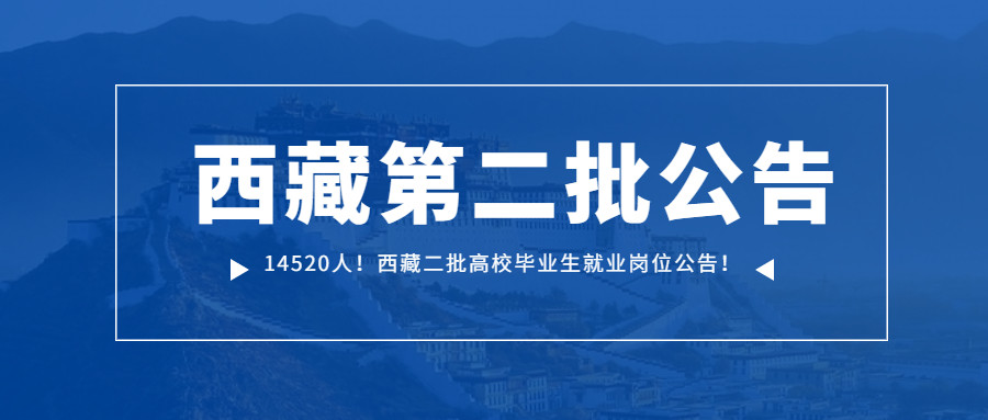 14520人西藏二批高校毕业生就业岗位公告