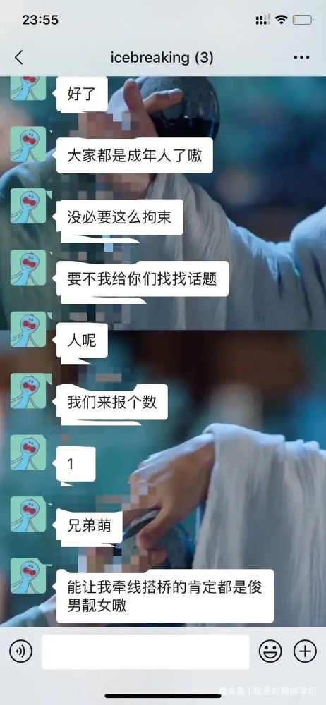 当社恐和社恐相亲时哈哈哈哈哈聊天记录笑到满床打滚