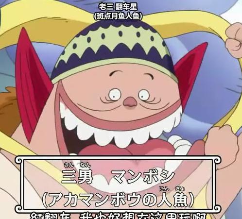 海贼王中的王子们杰尔马的王子当厨师巨人族的王子审美独特