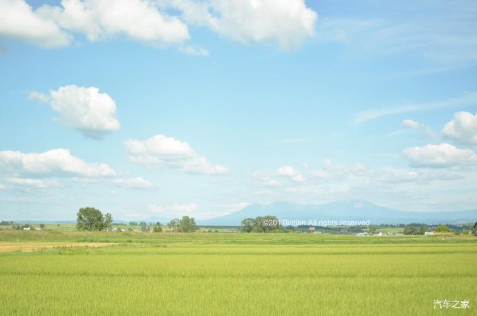 关于夏天所有的美好你都有 北海道手绘之旅 腾讯新闻