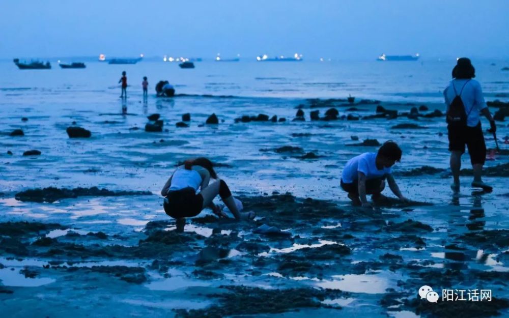 陽江市海陵區北極裡灶村丫洲島眾多遊客趕海美景晚上篇