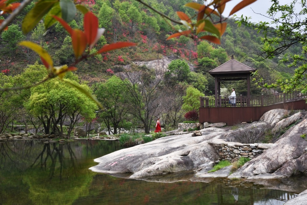武汉黄陂姚家山是新四军第五师曾经战斗过的地方_腾讯新闻