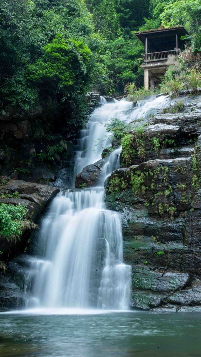 金光岭南风景图片