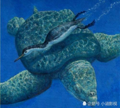 乌龟两亿年前的祖先,比客厅还大,一口都能吃掉几个大象