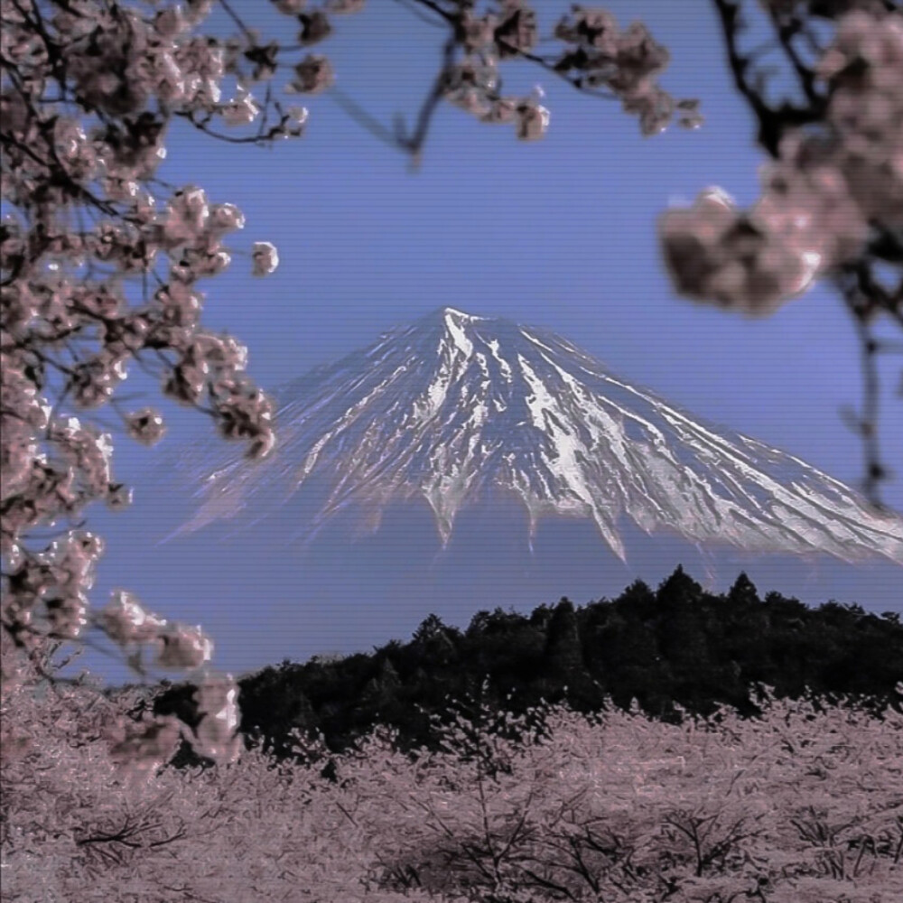 背景丨小众丨唯美