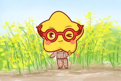 星座最排行_2021年十二星座桃花运势排行榜