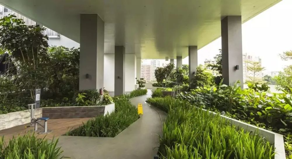 收集高架桥下空间设计