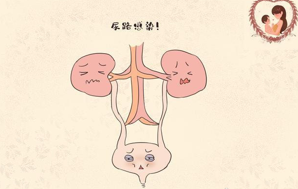 马尾神经损伤对小便的影响