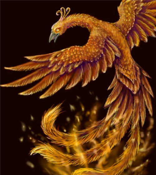 山西农民上山采药意外发现"金凤凰",投喂4年,如今有意外收获