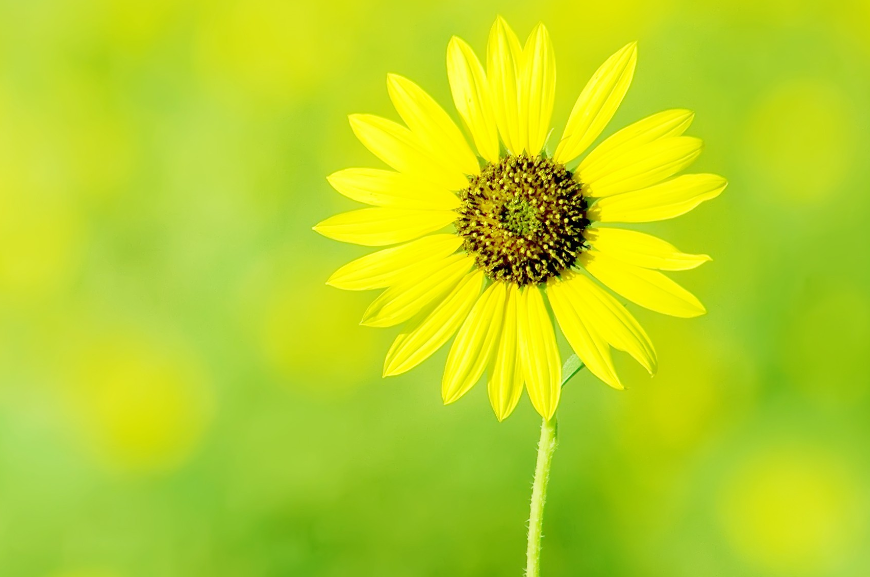 5月 霉运走散 好运连连 爱情回头 3大生肖邂逅旧情人 回心转意 腾讯新闻