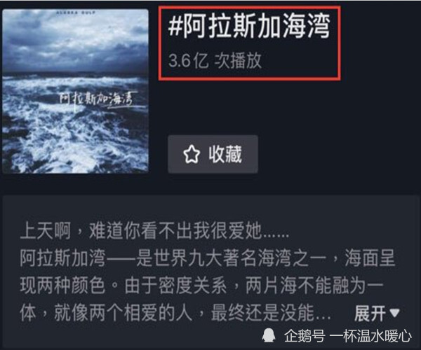 阿拉斯加海湾 创作人菲道尔 无缘参加 中国好声音 腾讯新闻