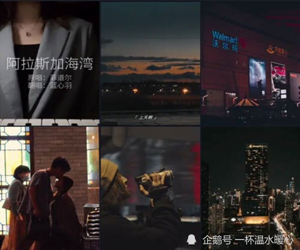 阿拉斯加海湾 创作人菲道尔 无缘参加 中国好声音 腾讯新闻