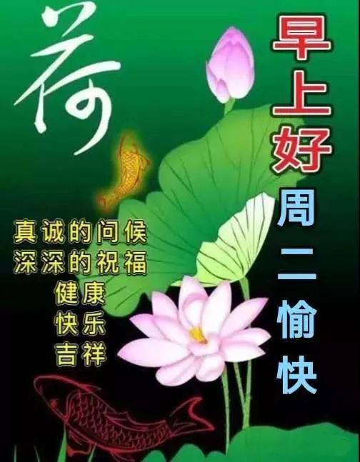 早上好温馨问候祝福语短信大全 夏季微信早晨最漂亮的早安祝福图片分享 腾讯新闻