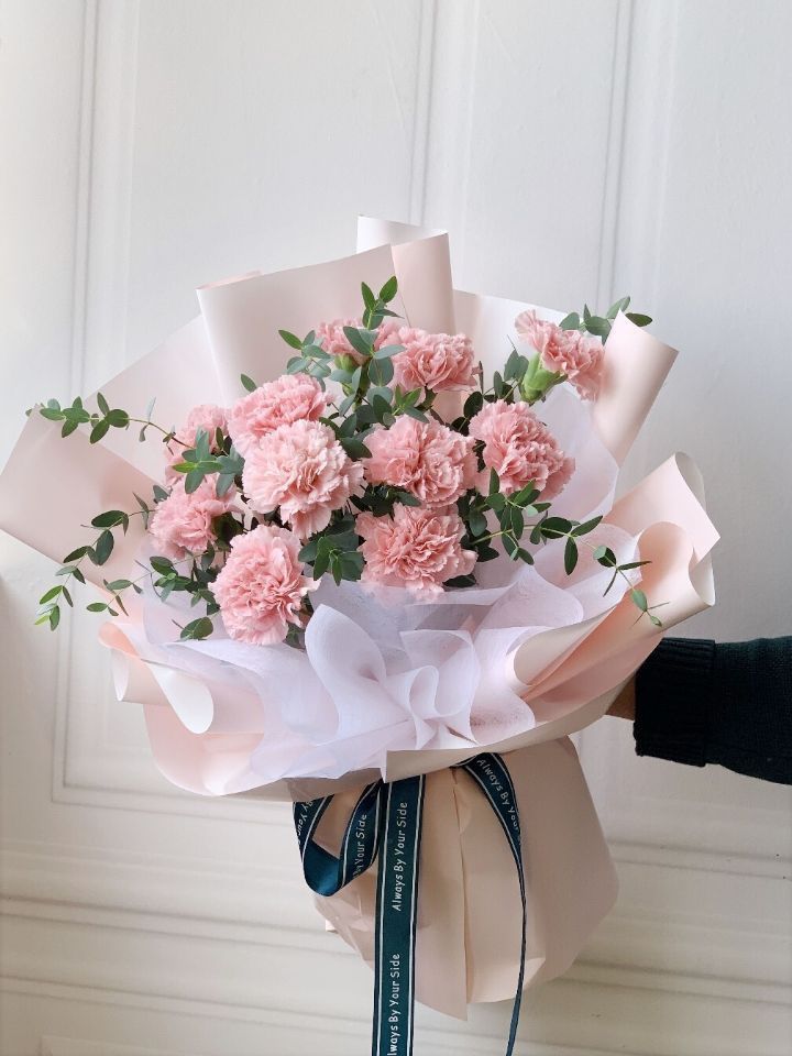 在母亲节送给母亲是一种非常不错的选择蓝色康乃馨的作用1美容养颜