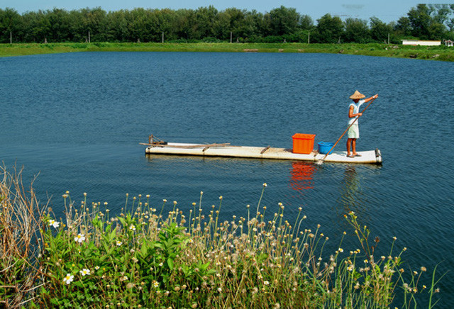 揭秘池塘养鱼需要的核心技术大疆渔业有话要说