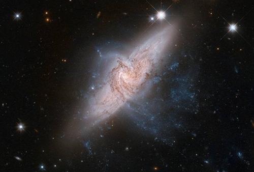 宇宙无比惊奇的七大奇观无比美丽壮观的恒星雪天使星云