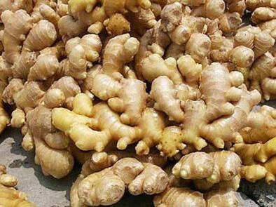 生姜埋进花盆里3个月长出小姜崽1盆结2斤吃不完