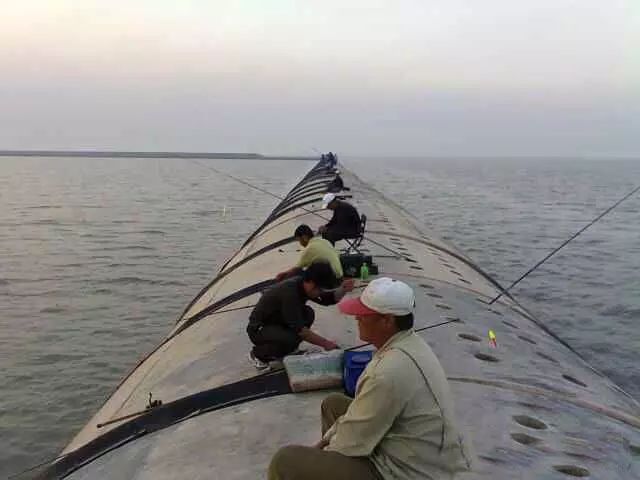 準備好窩料和釣餌釣梭魚真的一點也不難