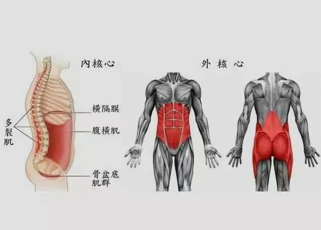 核心肌群太弱了腰痛脊柱不穩就來了簡單幾招強化它