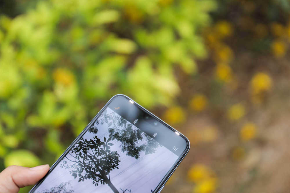 Vivo S9在这个五一火了 4400万前置双摄 极夜柔光灯 亮了 腾讯新闻