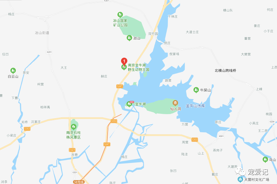 南京市六合區竹鎮竹金路現代農業產業生態園門票:50-寵物友好地圖