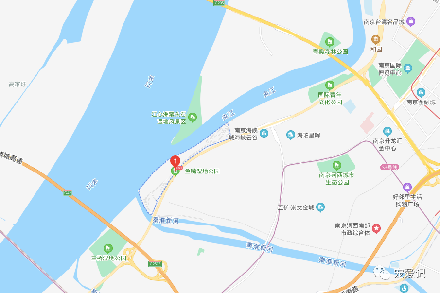 江蘇南京秦淮區,建鄴區允許帶狗帶貓帶寵物的公園和景區_騰訊新聞