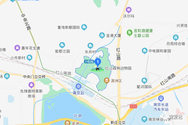 江蘇南京玄武區允許帶狗帶貓帶寵物的公園和景區寵物友好地圖