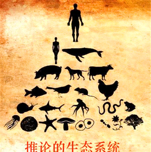 人类真是食物链顶端没天敌?科学家提到一动物,差点吃光人类祖先