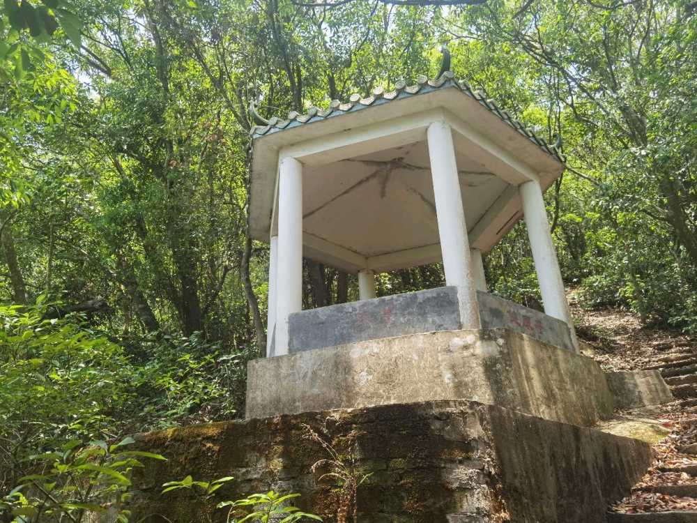 深圳坪山金龟村,金田山登山道简介_腾讯新闻