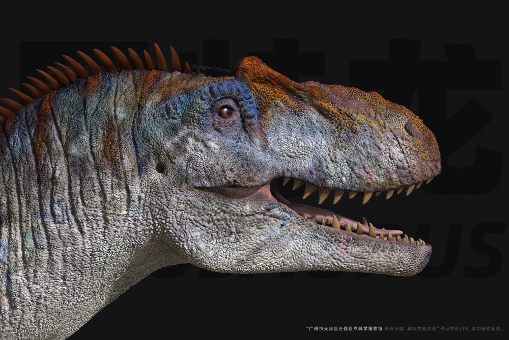 异特龙复原图(全身)或许了解它们,才算得上是了解侏罗纪.