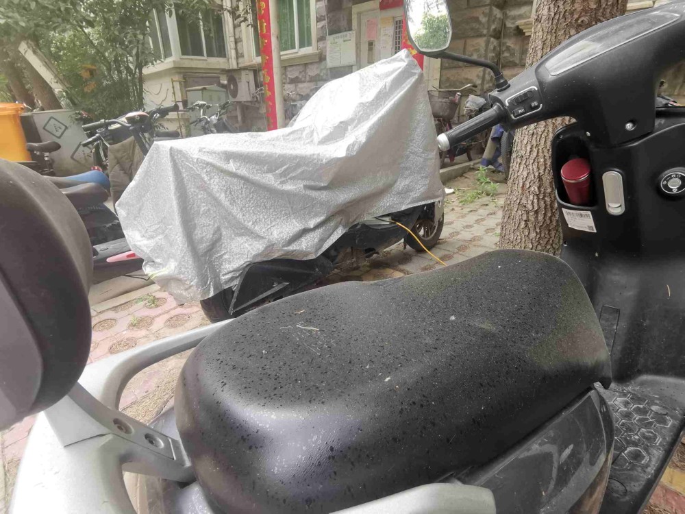 小区树上滴"松油",树下车辆遭了殃,该咋办?_腾讯新闻