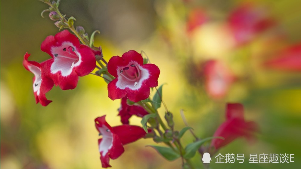 5月7日 11日星座运势 金牛轻车熟路 天蝎稳扎稳打 双鱼另眼相看 腾讯新闻