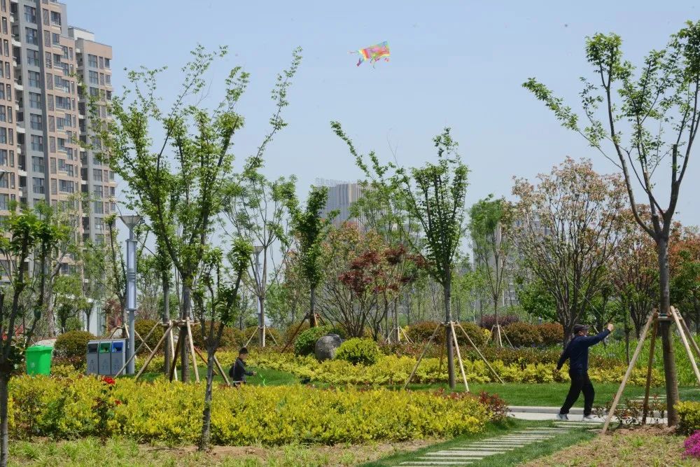 多图预警龙泉广场东园超级漂亮