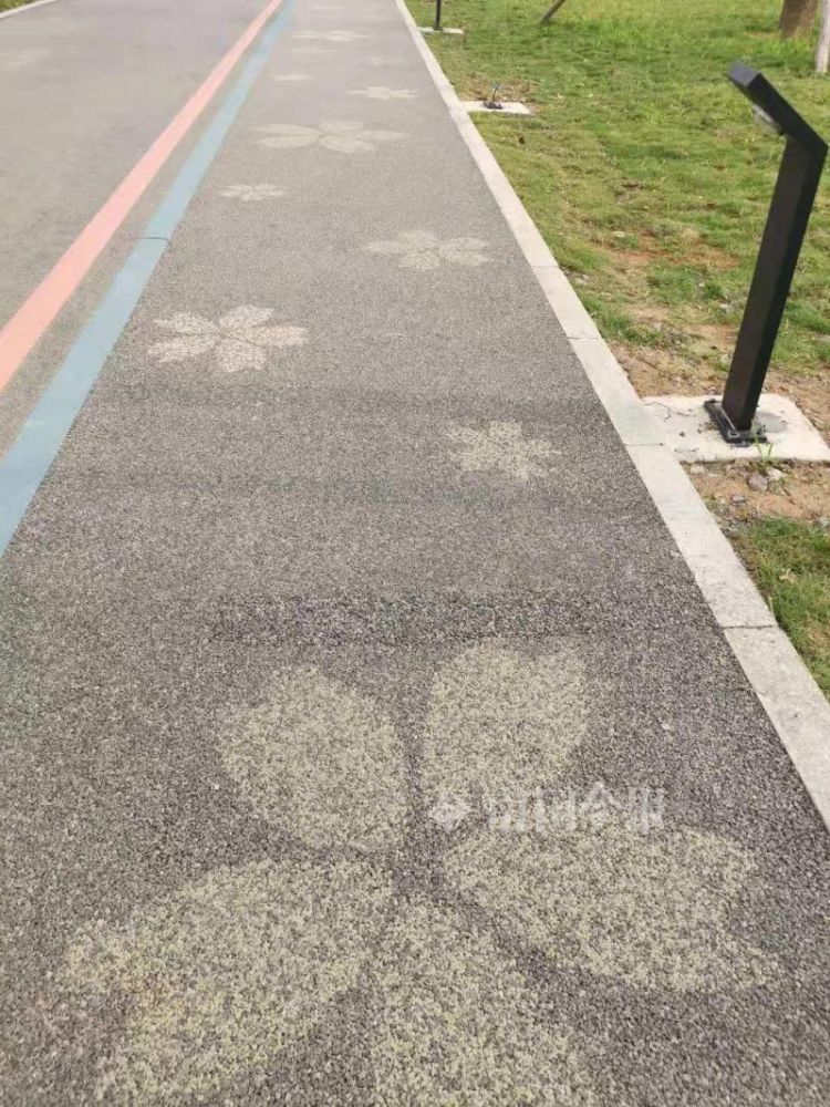 柳州首条夜光跑道来了,自带"黑科技",在这个新网红公园内……_腾讯