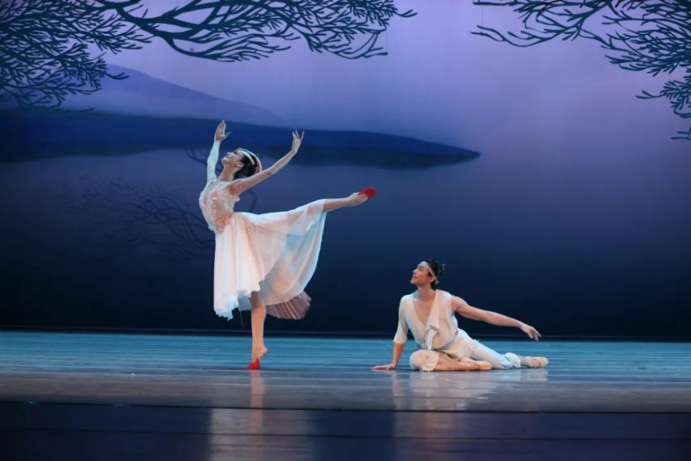 春晚上惊艳众人的朱鹮是怎么诞生的