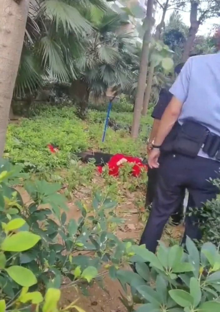 三亚红衣女子坠楼后草丛遗照曝光事件背后迷雾重重