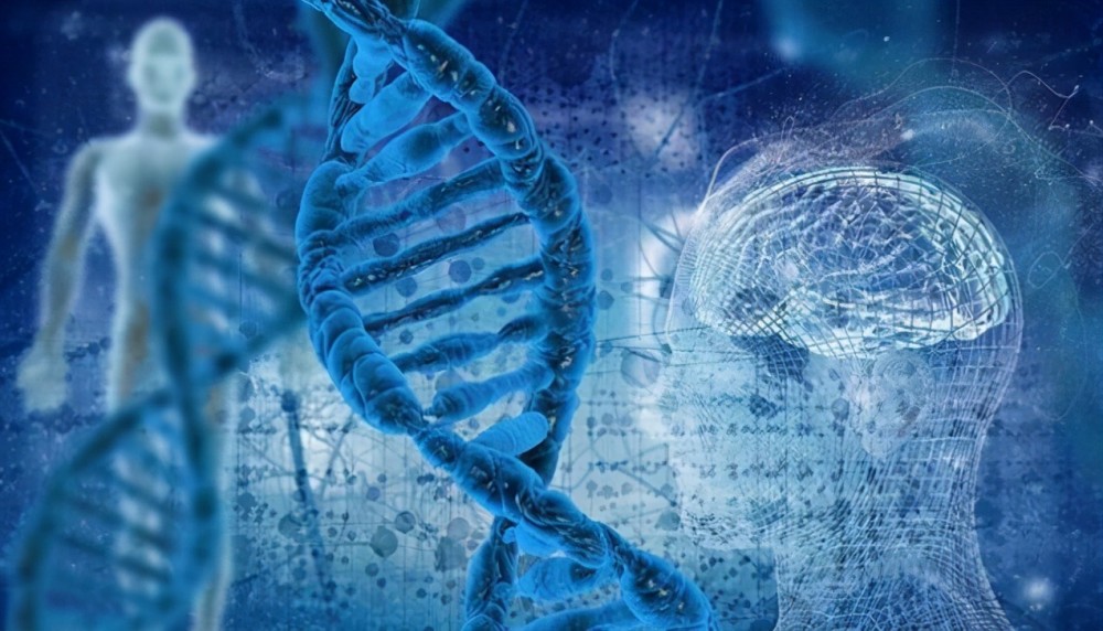 碳基生命进化的终点是什么?人类离终点还有多远?