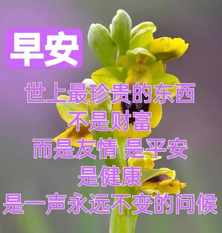 特別漂亮的早上好祝福美圖早上好圖片帶字祝福語