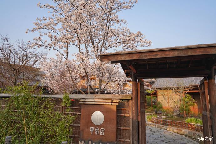 赏樱胜地拈花湾带你梦回大唐