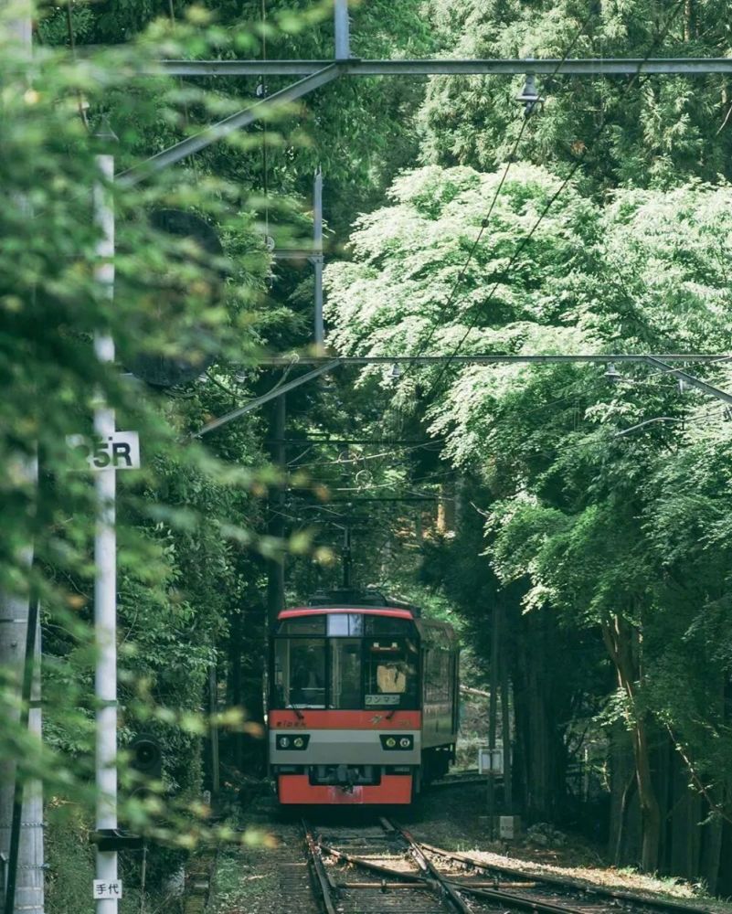 30张干净治愈的唯美背景图_腾讯新闻