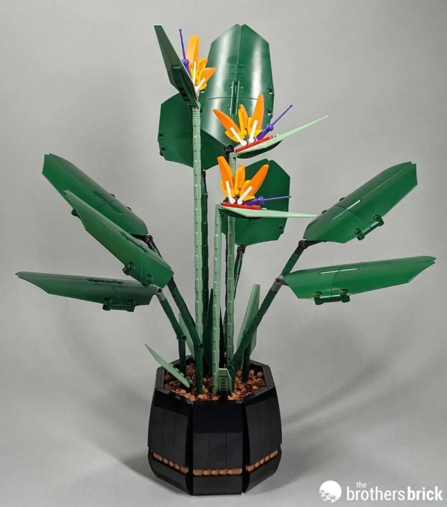 乐高植物系列新套装10289天堂鸟开箱评测