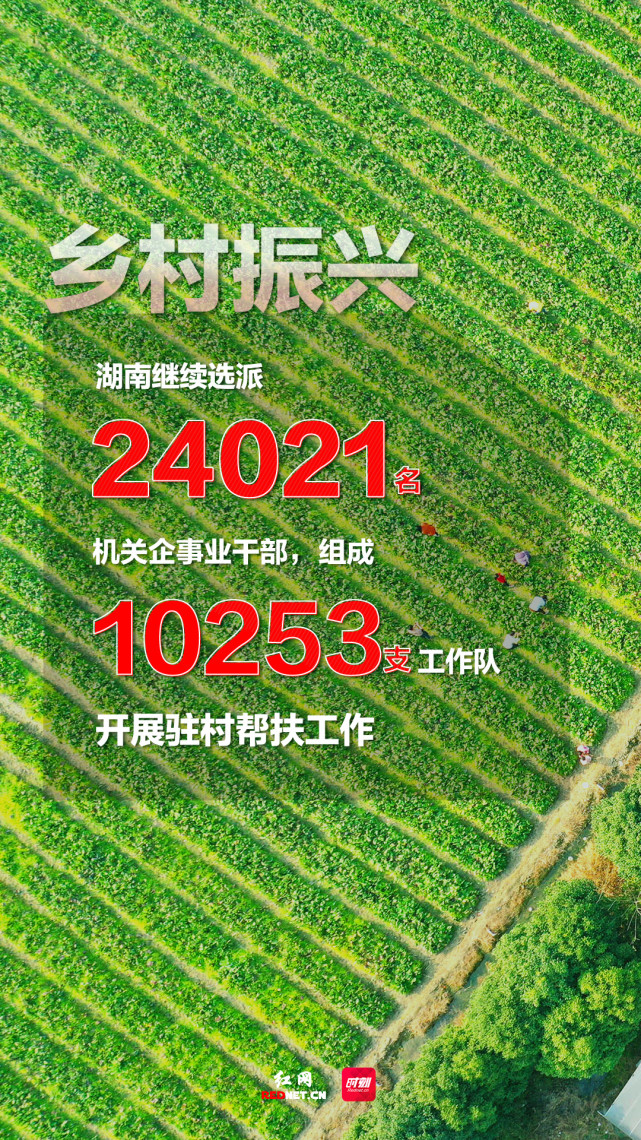 海报湖南选派25万名优秀干部接续奋战乡村振兴