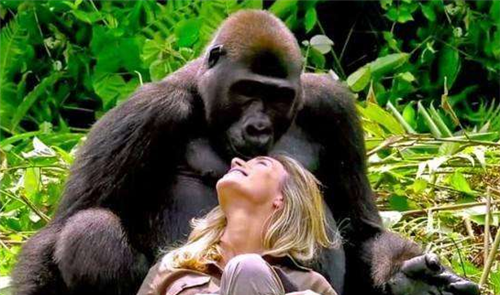 苏联科学家为研究人猿杂交花重金请5名女性实验最后却悲剧了