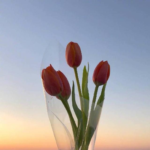 二,岁月是一场有去无回的旅行,好的坏的都是风景,祝自己生日快乐.