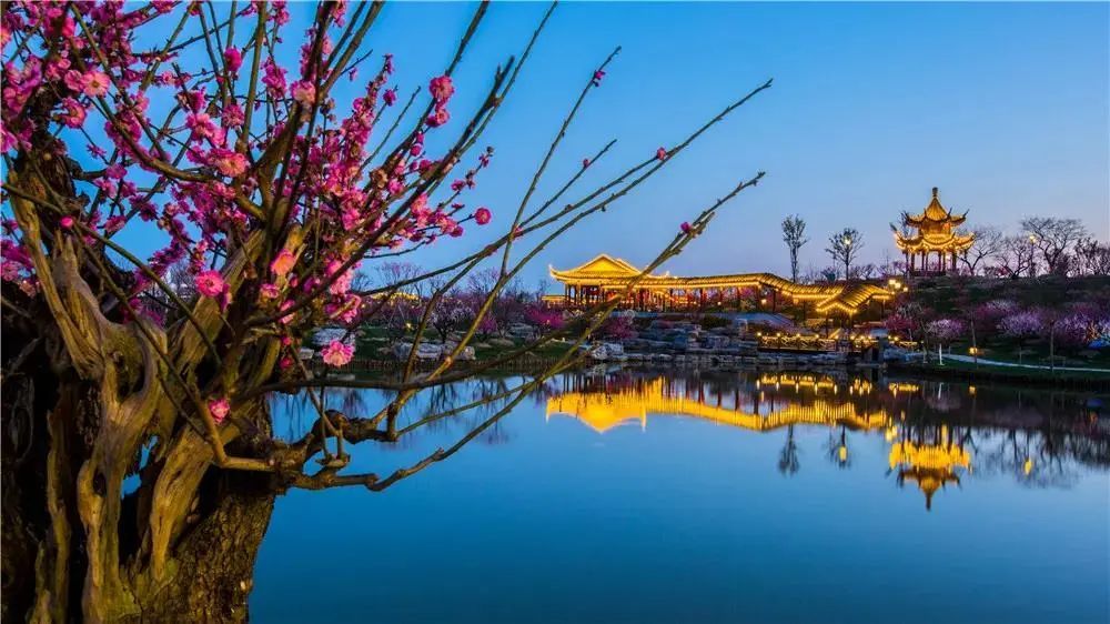 东方湿地之都仙鹤神鹿世界走进盐城看看有哪些好去处吧